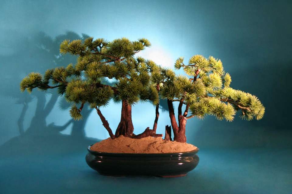 Umelý bonsai 