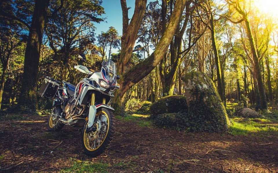 Jazda na motorke v lese